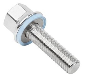 316 Stainless Steel Hex Head Screw With Fluoroprene XP 45 (Blue) Seal