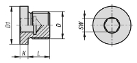 K1130 Screw Plugs With Collar And Hexagon Socket Drawing